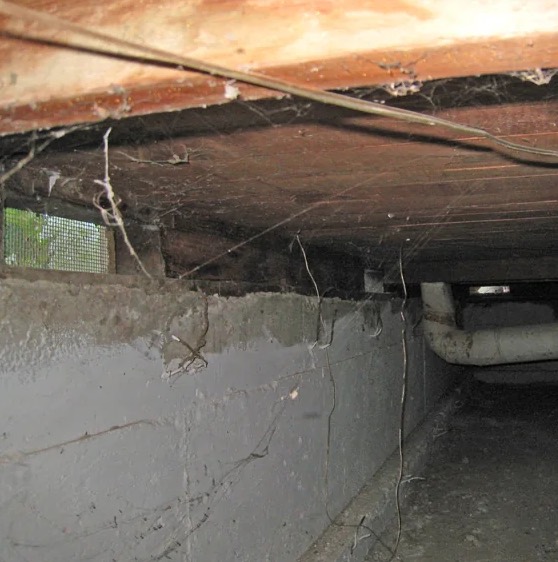 Crawlspace Mold Remediation in Marietta, GA