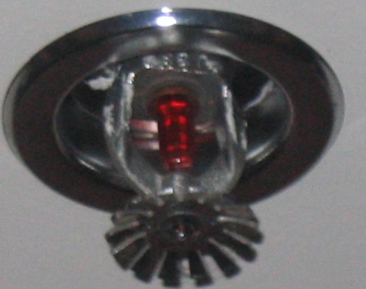Sprinkler System Water Removal in Buchanan, GA
