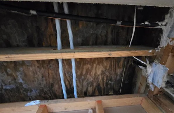 Window Leak Water Removal in Milton, GA